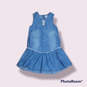 HUDSON CHAMBRAY DROPPED WAIST DRESS
